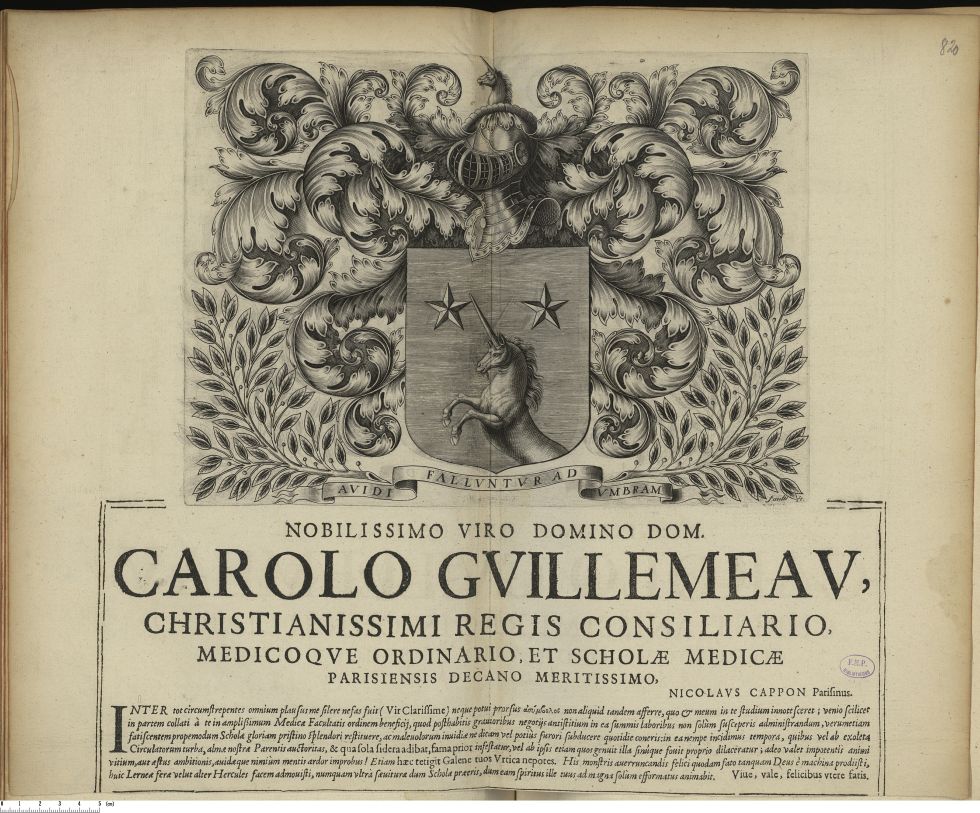 Qu&rsquo;est-ce que la bourse Tempest Therapeutics ?